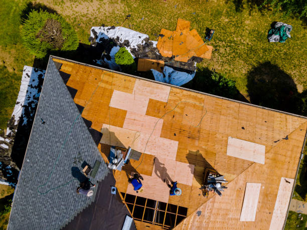 Best Roof Maintenance Services  in Shasta, CA